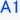 A1